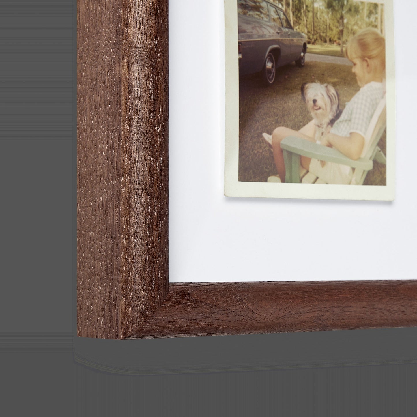 Walnut Round