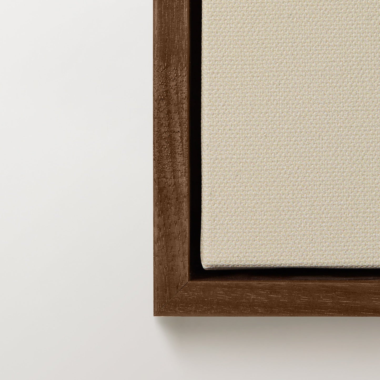 Walnut Canvas