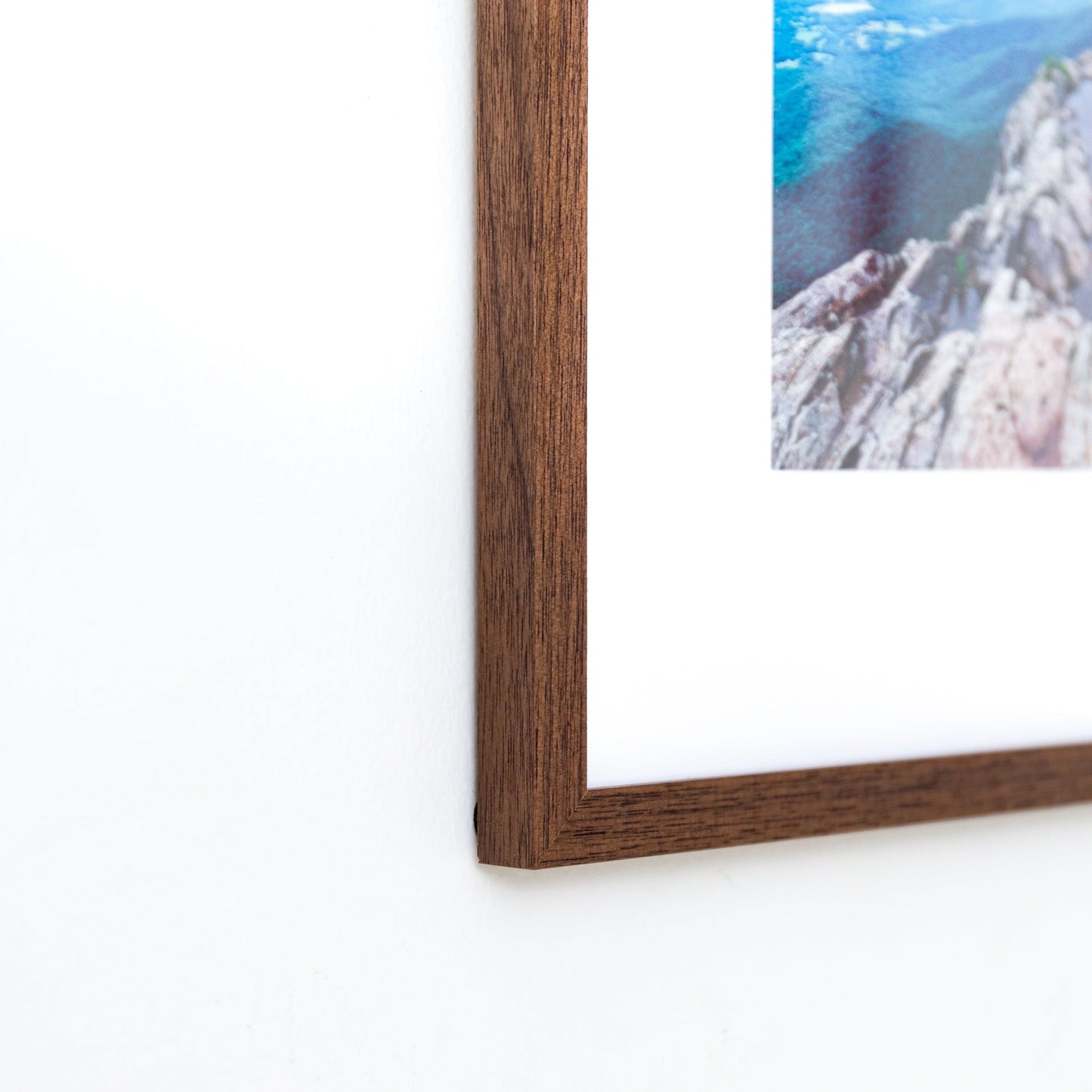 Walnut Mini