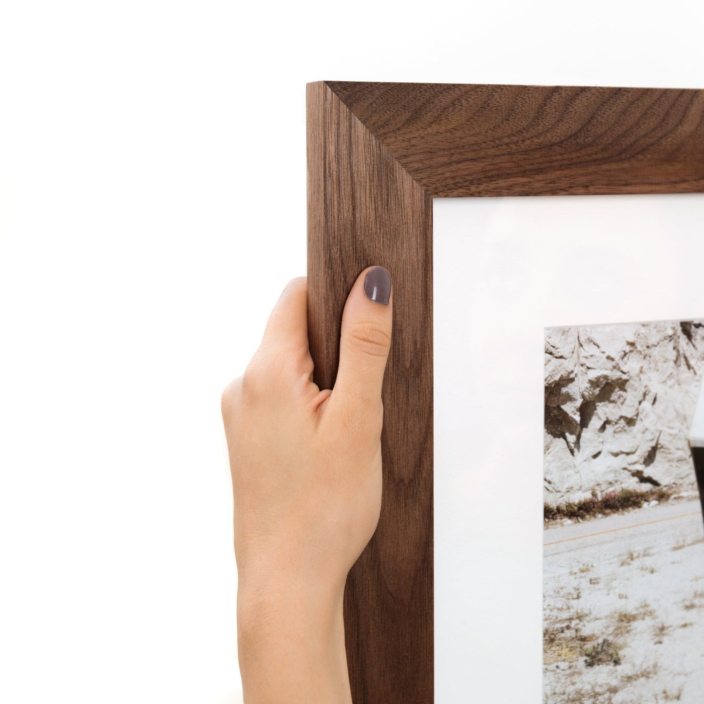 Walnut Wide