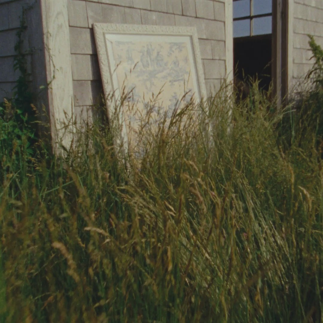 School House White [Prof. 01]